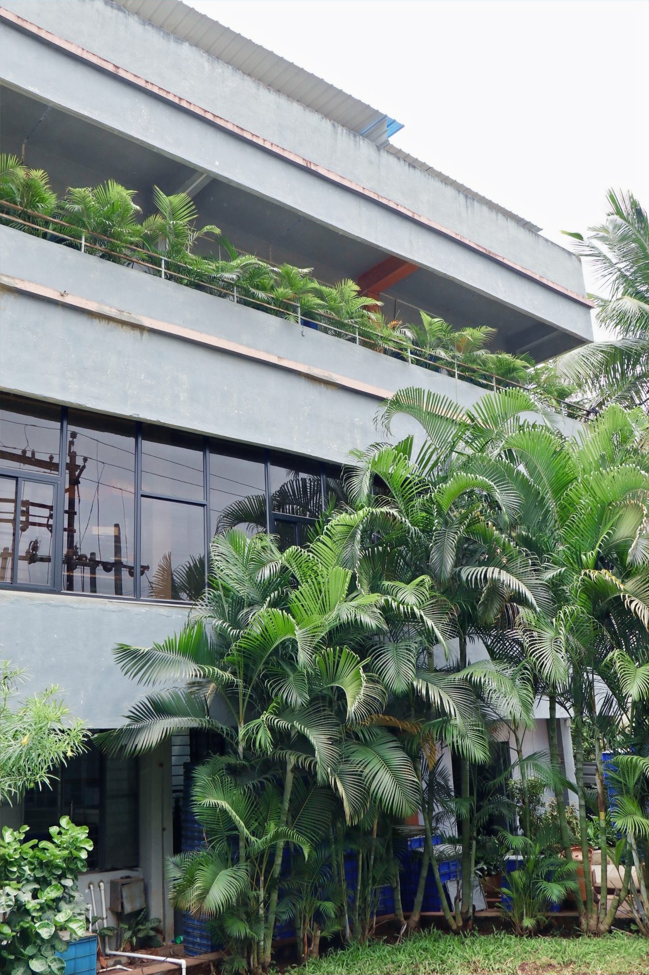 Exterior of the Anicon Flowcontrols plant at D-54 MIDC Gokul Shirgaon